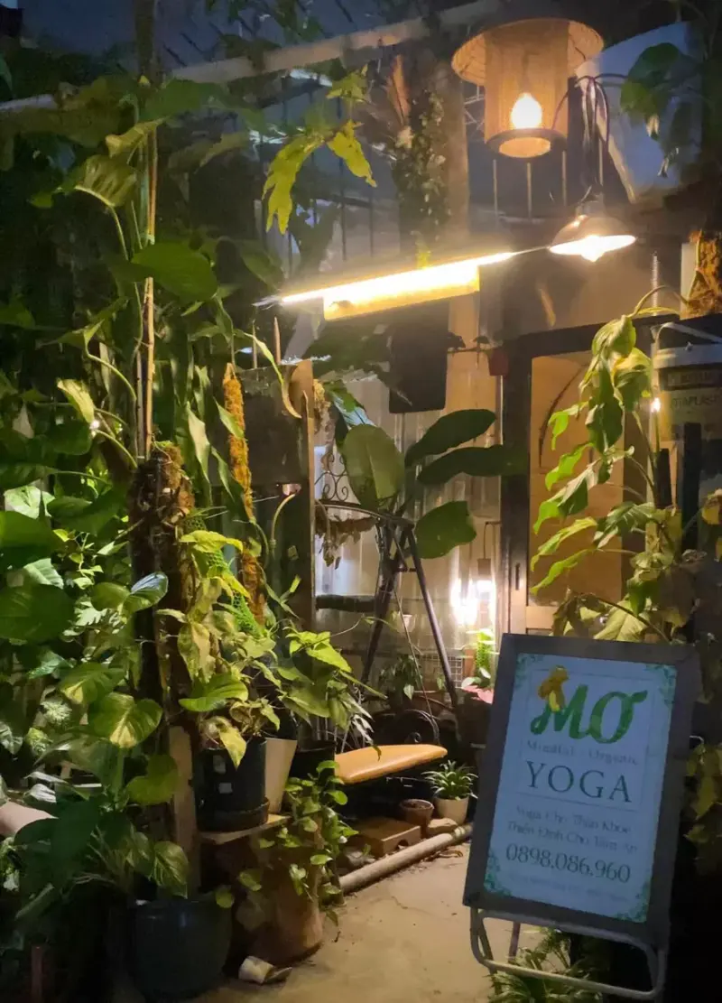 Lối vào Nhà Mơ giữa cây xanh với bảng hiệu Mơ Yoga